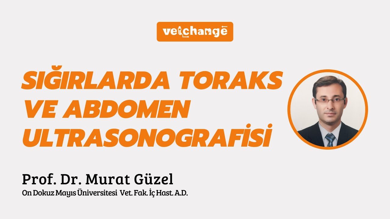 ''Sığırlarda Toraks ve Abdomen Ultrasonografisi" Prof. Dr. Murat Güzel